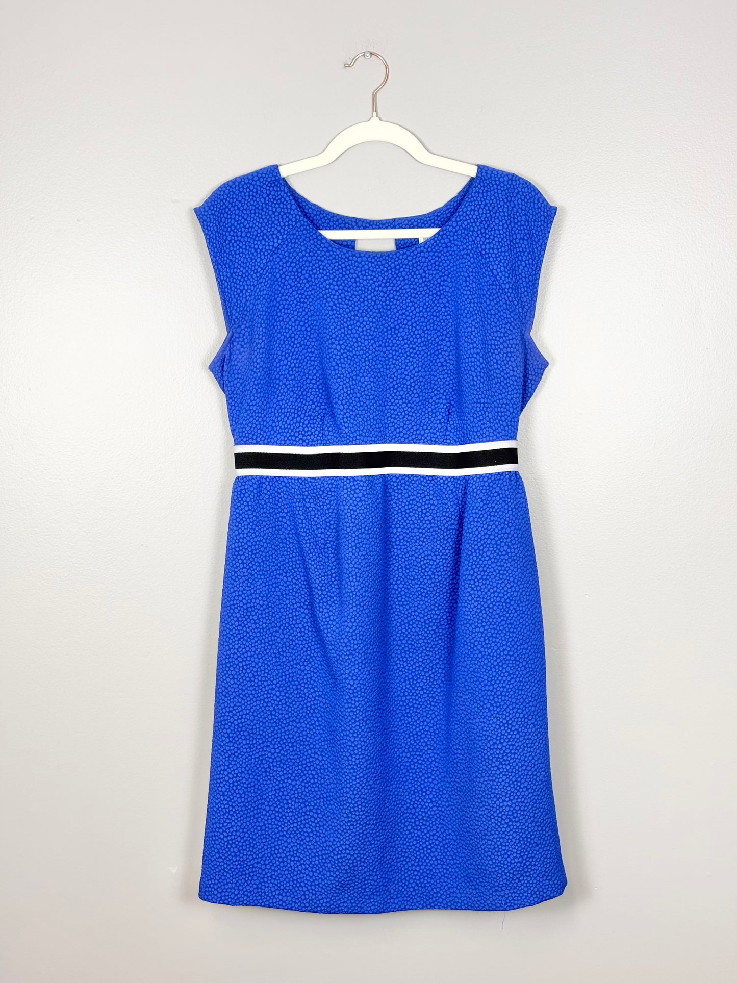 M/L - Motherhood Blue & Black Shift Dress